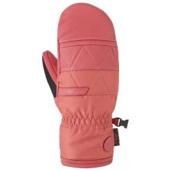 Moufles Dakine Fleetwood Mitt B4bc Spiced Coral
